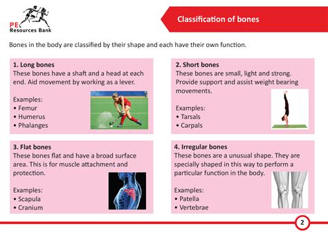 igcse pe revision questions